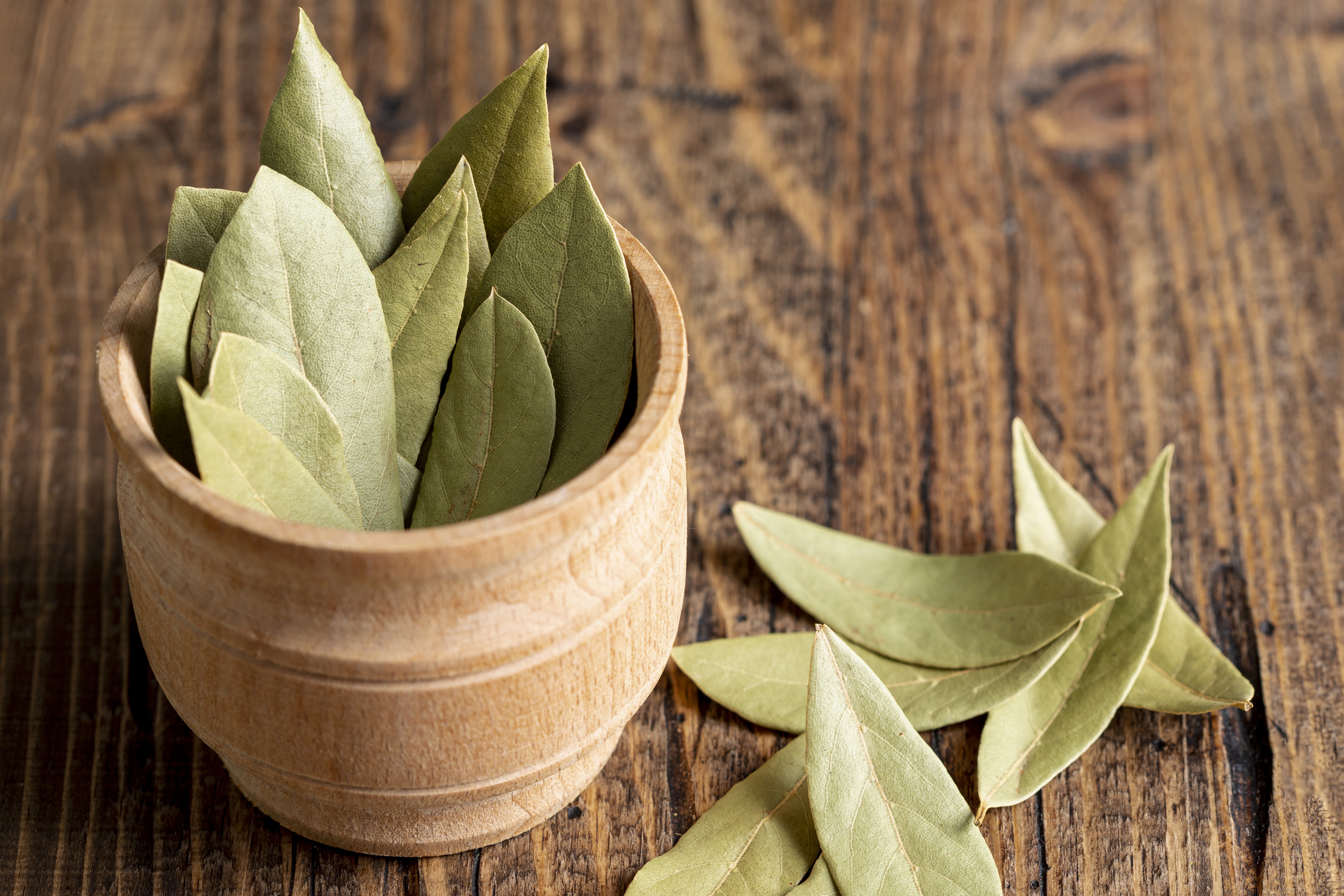Bay Leaves