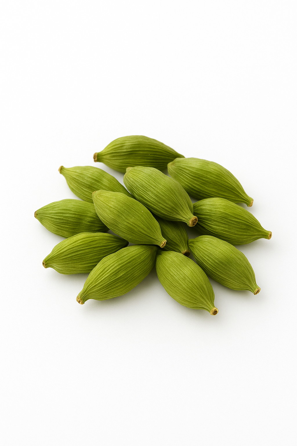 Cardamom